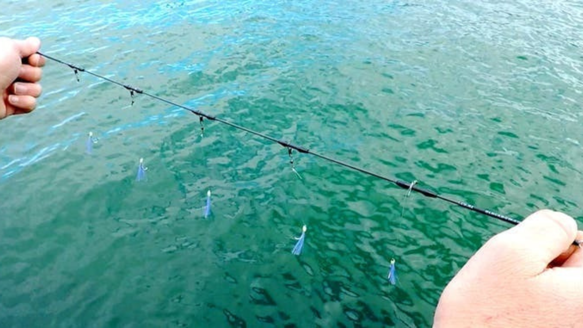 釣りを台無しにする「糸絡み」を減らしたい。NZ発のサビキ仕掛けを試したくなる理由