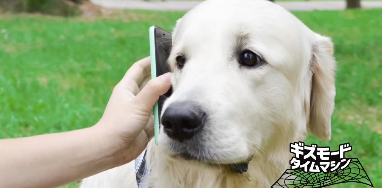 画像が削除されました