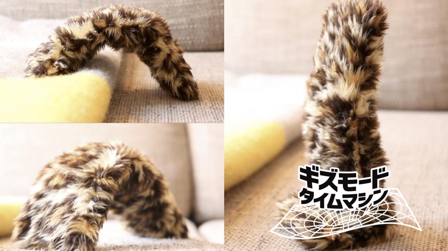猫のしっぽ 人間は猫の「しっぽだけ」でも愛せるのか？ 2021年誕生の猫しっぽ