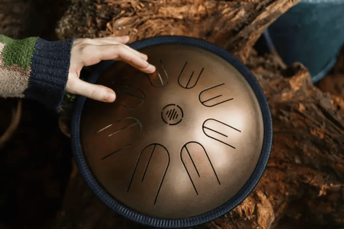 値下げしました！マーメイドが描かれたタンクドラム スチールタングドラム STD2VB｜MEINL SONIC ENERGY 国内公式サイト