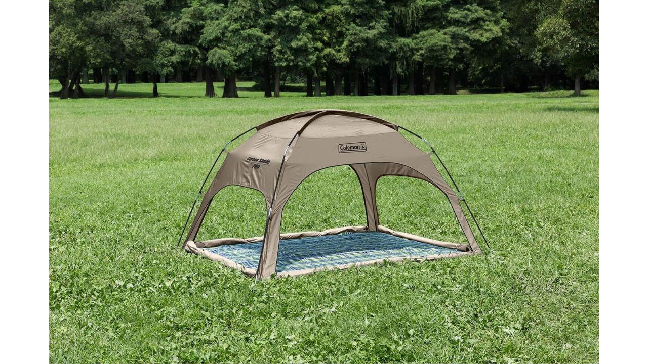 もう、テント設営で格闘しない。42%オフのコールマンで「サクッとアウトドア」