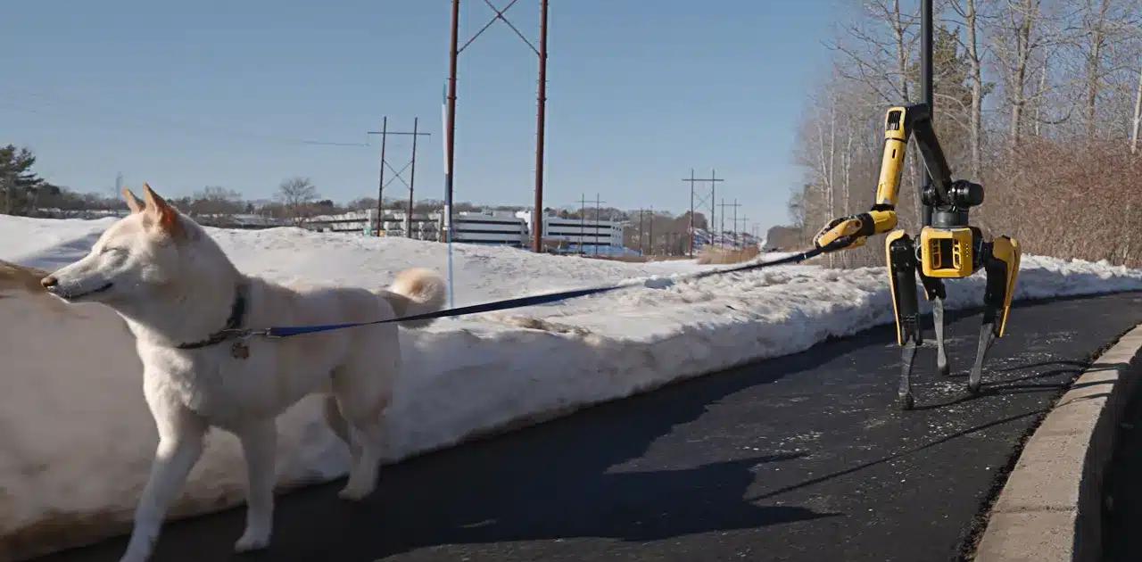 犬型ロボが生犬を散歩させる未来