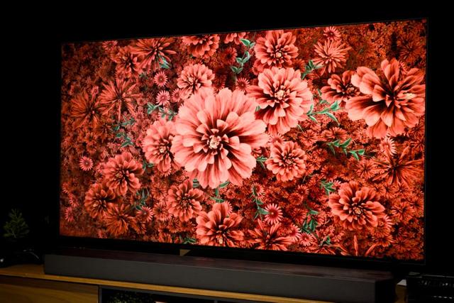 サムスンの色鮮やかな｢micro RGB｣テレビを見てきた。いや、鮮やかすぎ 