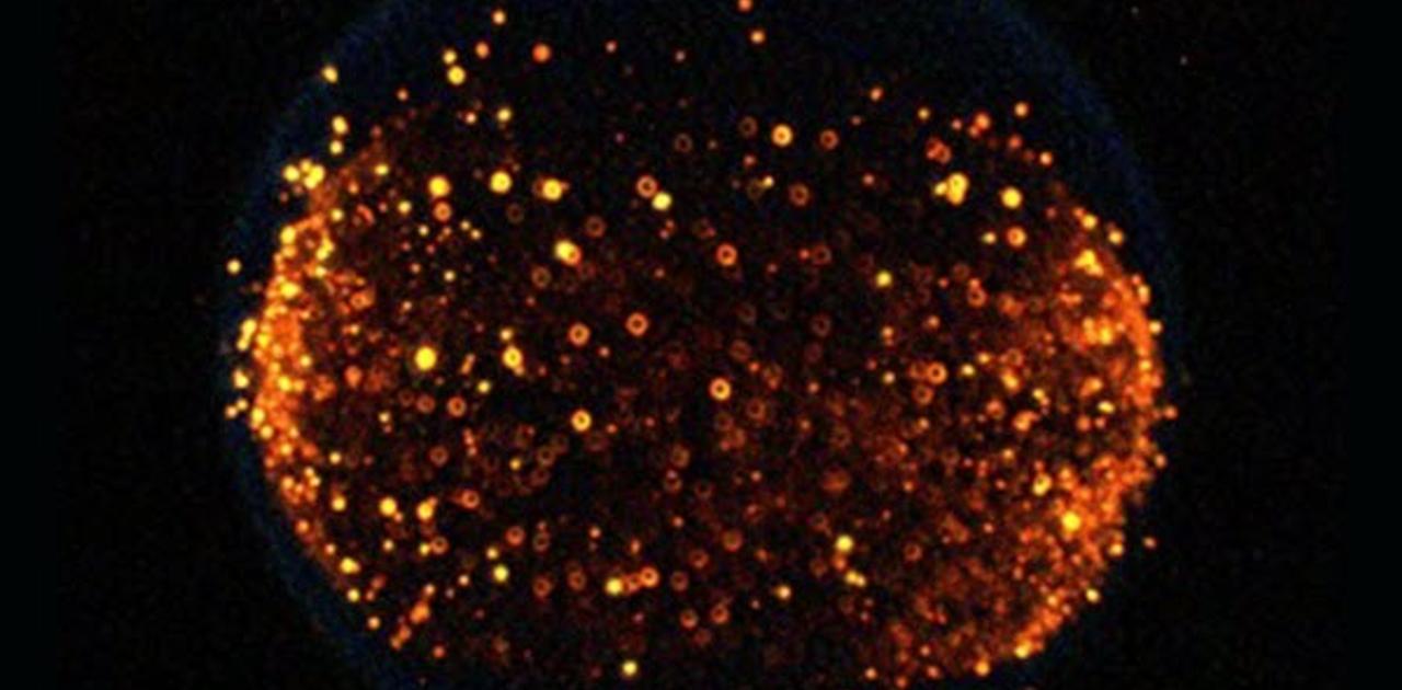 月の重力下で火災が起こるとどうなるの？ NASAが実験を計画
