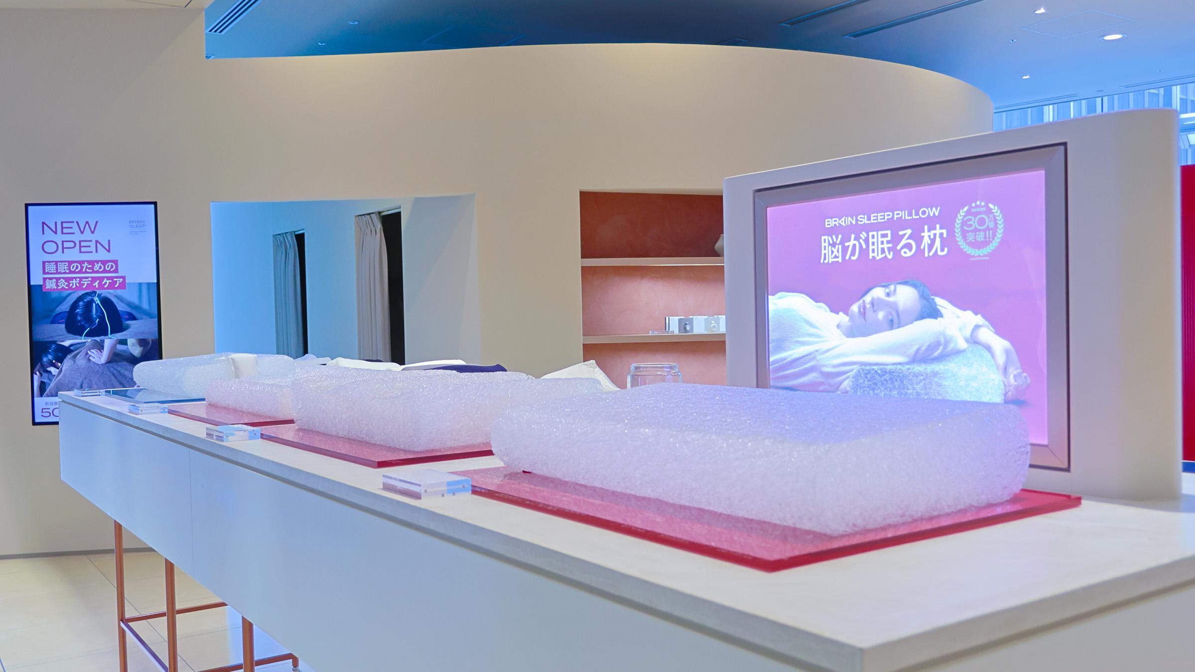 BRIAN SLEEP 枕 透明 収納バッグ付き ブレインスリープ 持ち運び枕 ピロー ポータブル 携帯枕 旅行 ネック