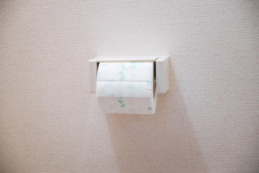 このタイプのトイレットペーパーホルダーを使っている人に推ししたい「山崎実業の逸品」