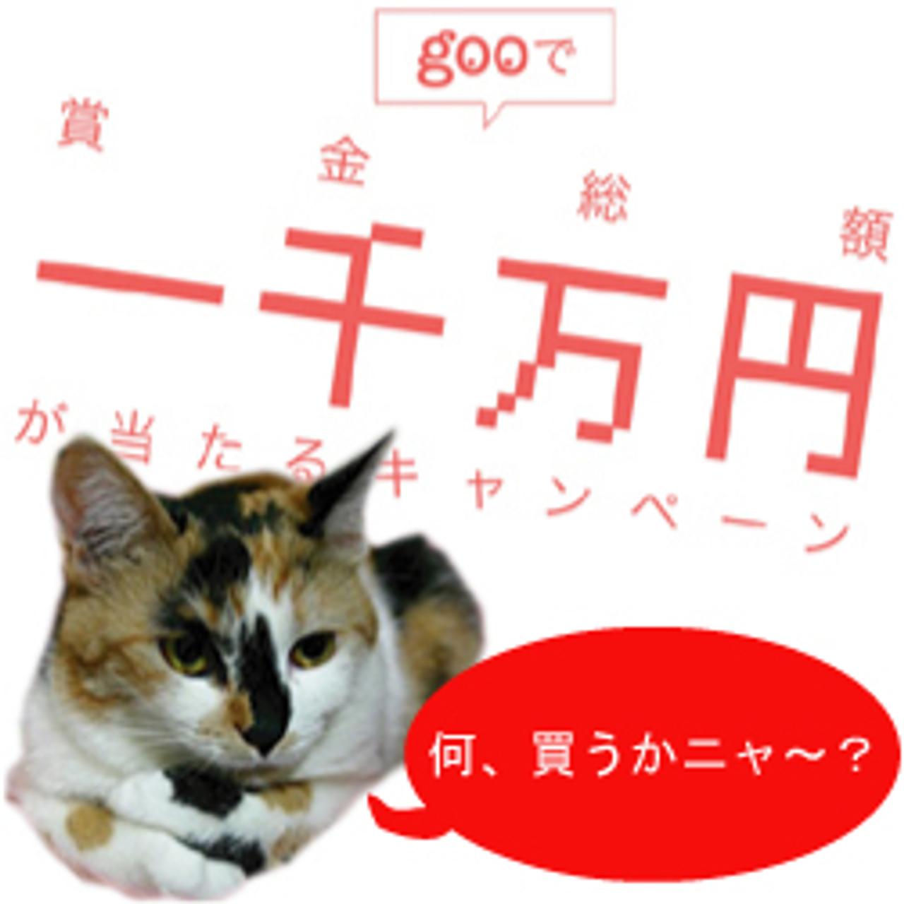 ［PR］三毛猫記者、goo検索ワードを予想する