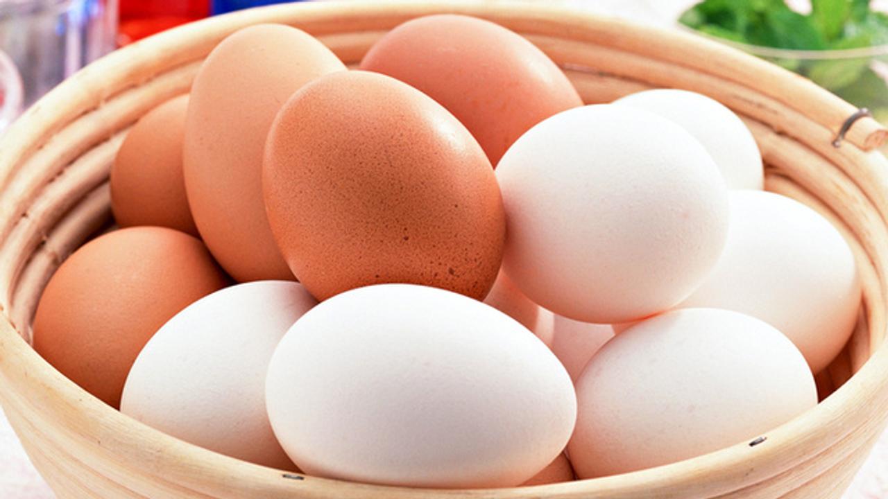 茶色の卵と白い卵は何が違うの ギズモード ジャパン