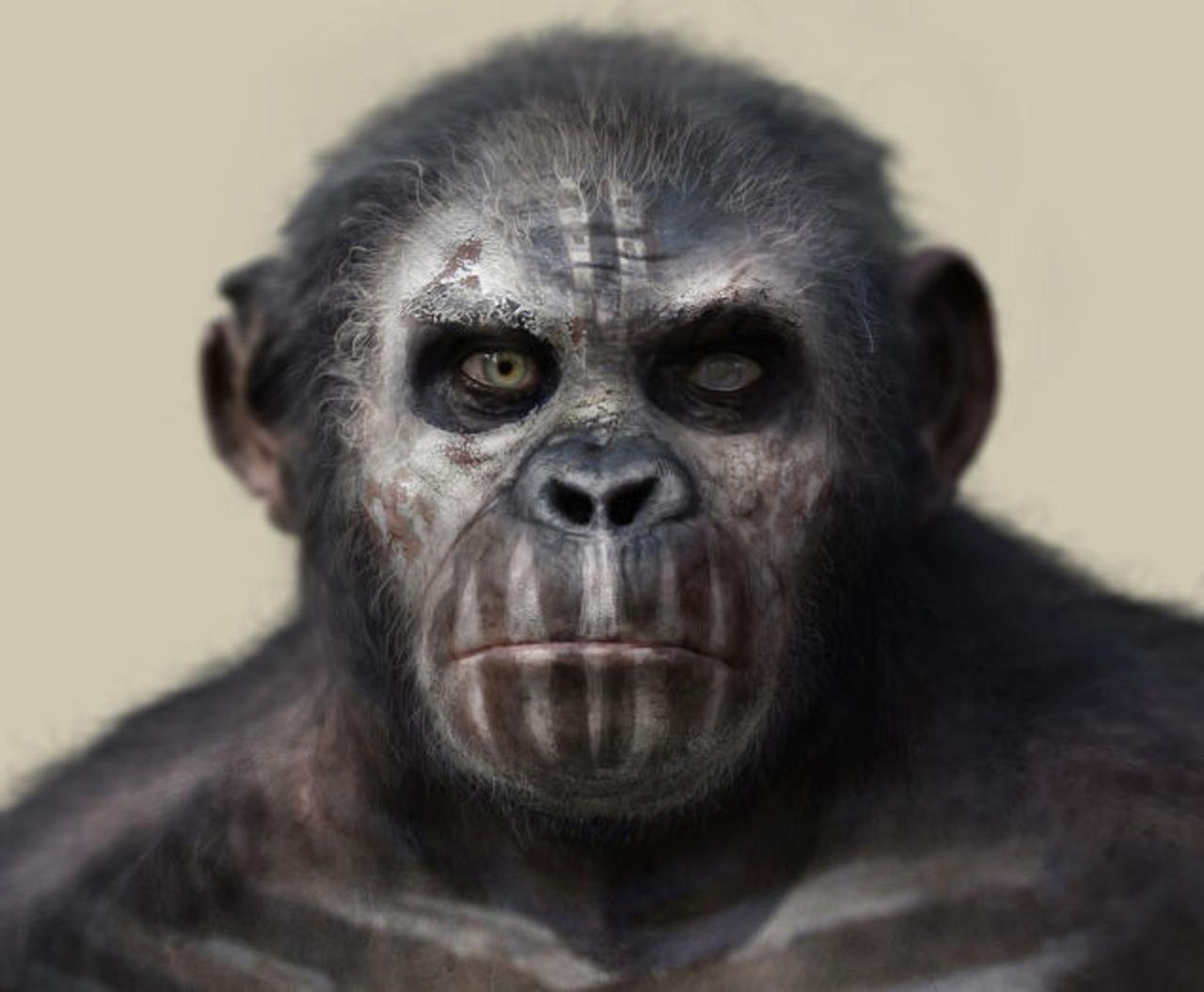 猿の惑星 新世紀 の猿はとてつもなく人間に似ている模様 ギズモード ジャパン