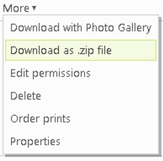 081205skydrive_zipped.jpg