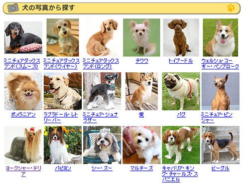 犬の種類が見てすぐわかるサイト | ライフハッカー・ジャパン