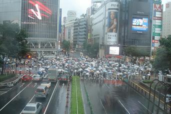 雨が降った時に無料で傘を貸してくれるサービス「シブカサ」