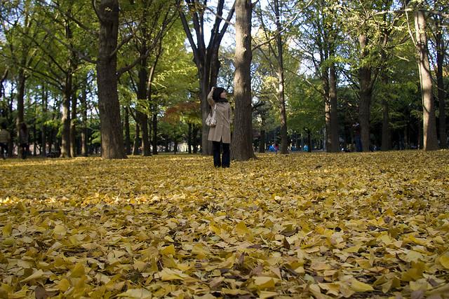 111010shibuyahack02.jpg