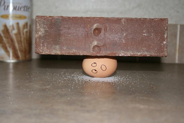 111215_eggshell.jpg