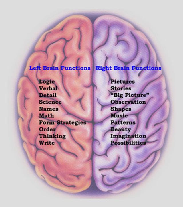 111231_lrbrain.jpg