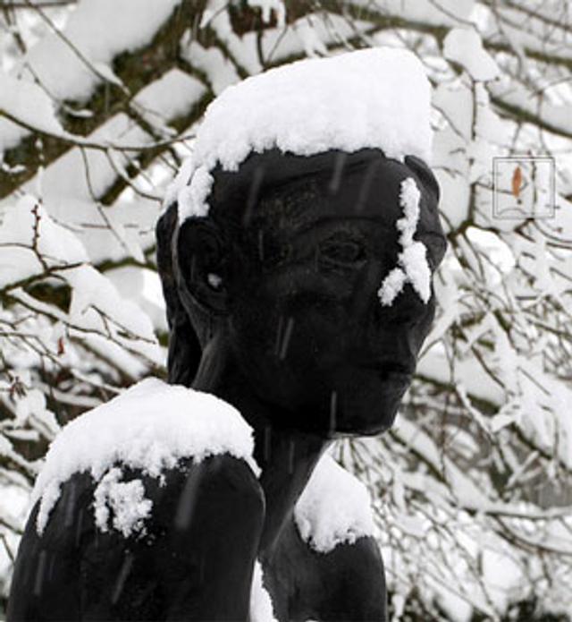 120116-myth-8-cold-head.jpg