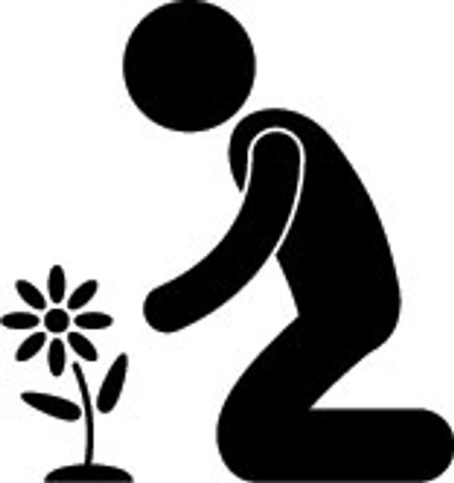 120305_plant-a-flower.jpg