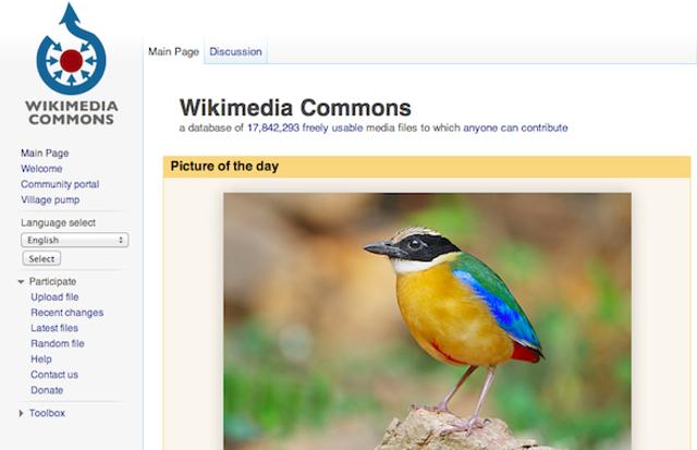 Wikimedia Commons