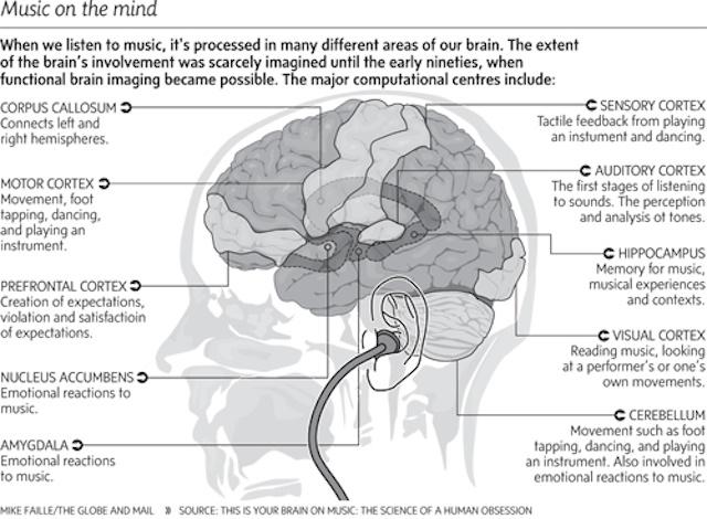 音楽と脳の関係