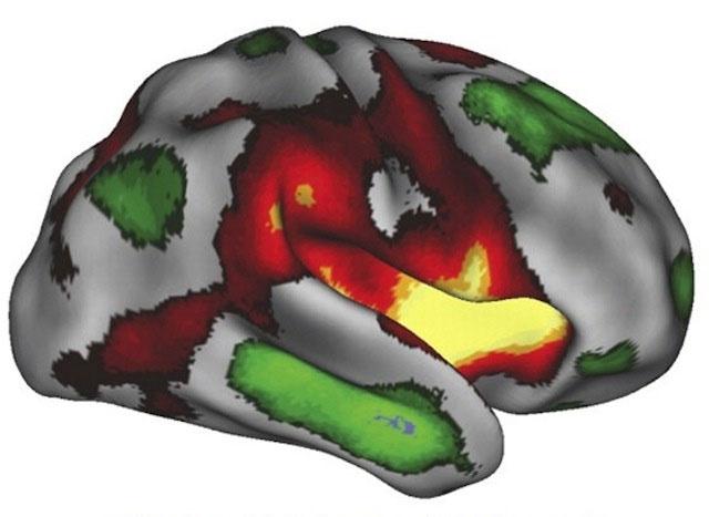 130107brain_science03.jpg