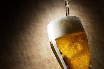 ビールのホップに含まれる成分が、脳の認知能力を向上させる（ただし若者のみ）