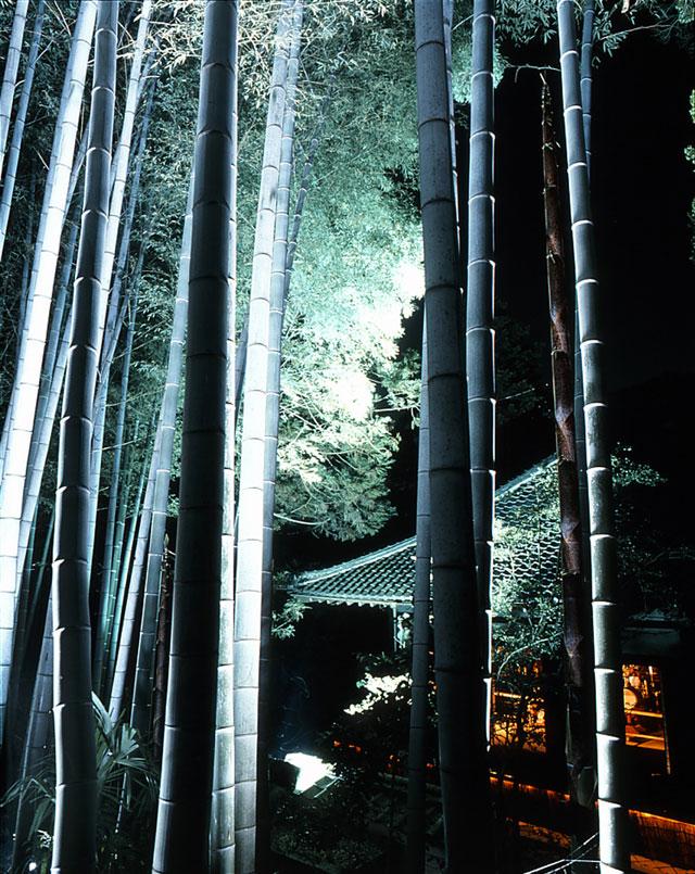 141018kyoto_autumn_3_2.jpg