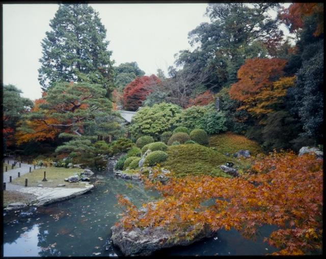 141018kyoto_autumn_4_3.jpg