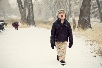雪を食べても大丈夫？専門家の見解