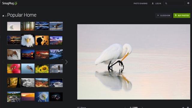 150216five_best_websites_for_imagehosting004.jpg