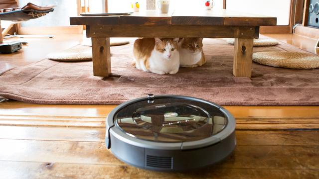 ルンバ ほぼ未使用 猫ちゃんがいるお家で使用 ルンバ ほぼ未使用 猫ちゃんがいるお家で使用