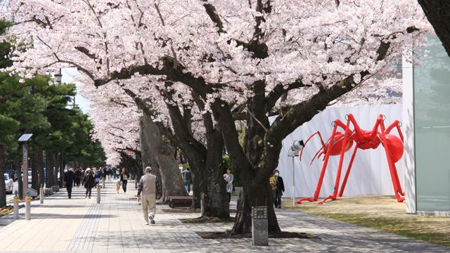 満開なのは桜ばかりじゃありません。花を愛でる美術館：全国編