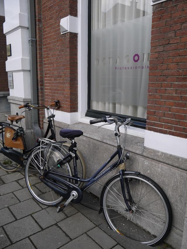 150613holland5.jpg