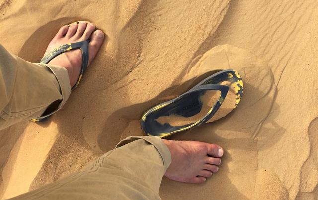 dubai_inspection2.jpg