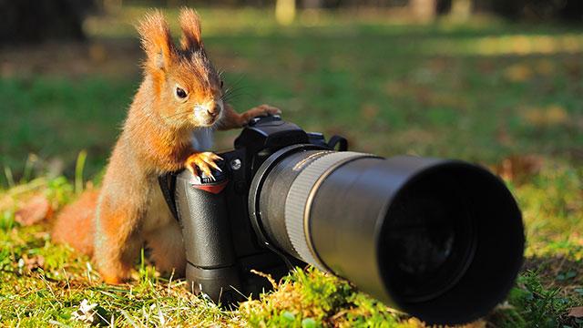 フォトグラファーとしての目を養う7つのエクササイズ | ライフ