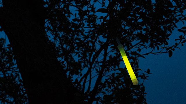 160428_camptools_cyalume_tree.jpg