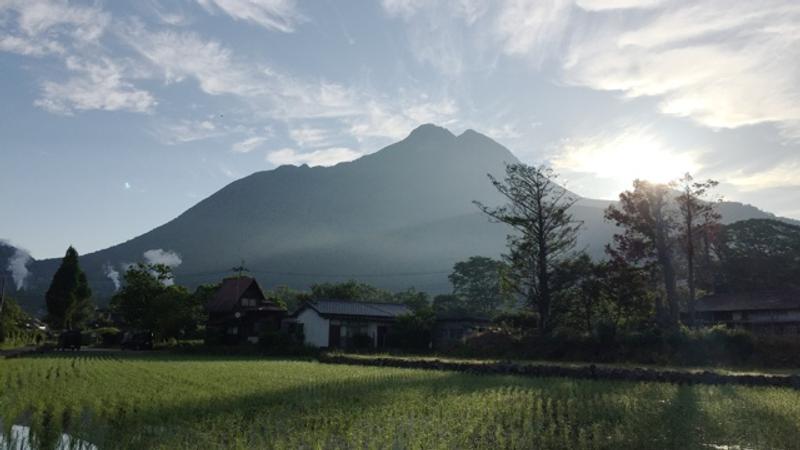 travel_running_11