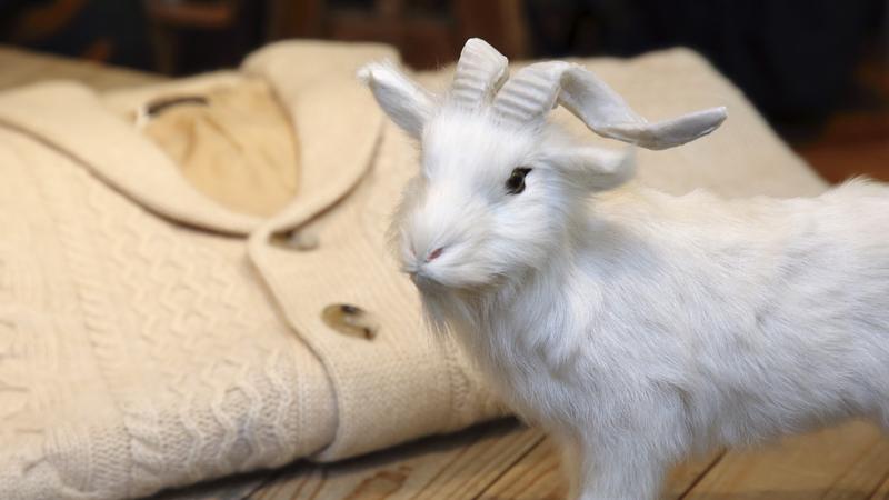 cashmere