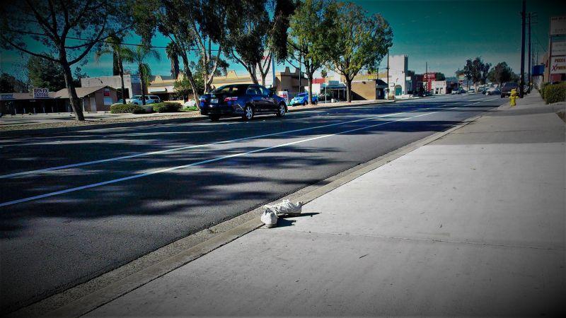 高速道路に落ちている靴