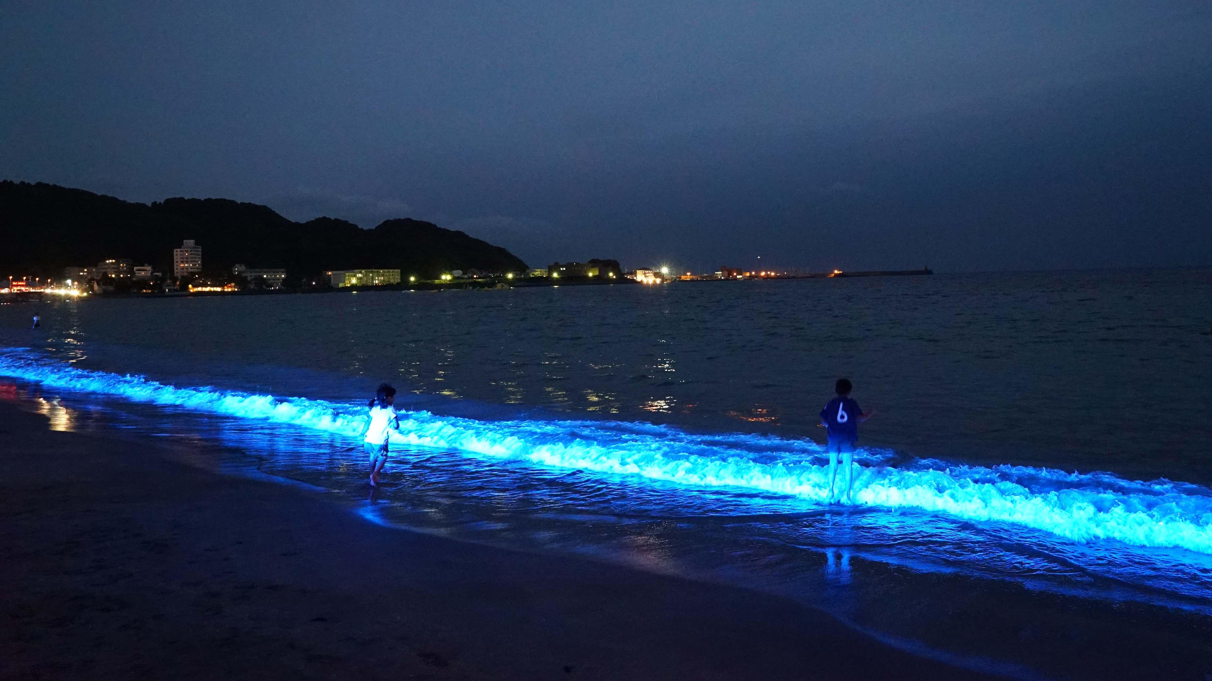 テレビの「イ」から光る海まで。浜松市で「光」のベンチャーが