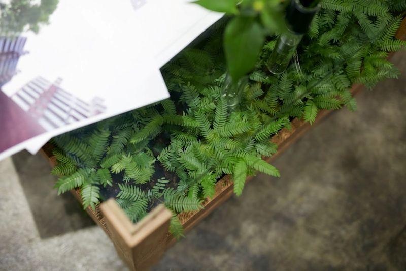 180312_table_with_everfreshleaves