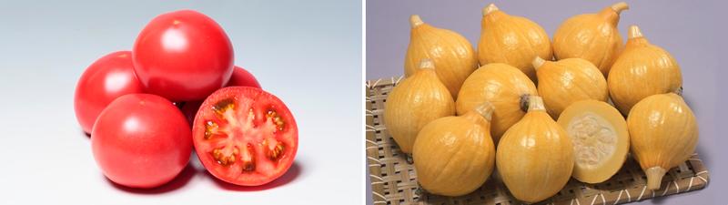 vegetable_future_01