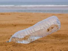これは21世紀の課題。プラスチックの使い捨てを減らす方法