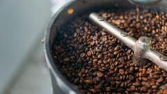 コーヒーが脳の健康によい理由が判明。ローストは深煎りの一択で