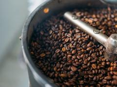 コーヒーが脳の健康によい理由が判明。ローストは深煎りの一択で