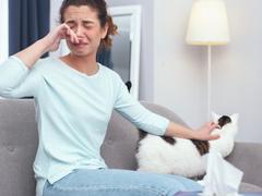 猫アレルギー持ちの友人を、自宅に招く前にすべき6つの処置