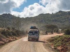 自動車旅で注意すべき4つのこと｜動物や悪路にどう対処するか