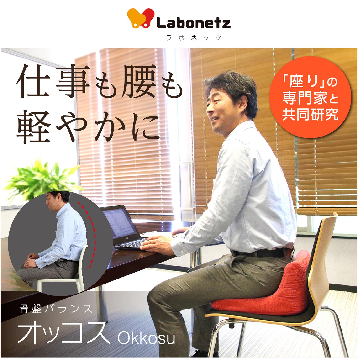 【匿名】骨盤バランス　オッコス　東洋大学共同開発 デスクワーク時に取り入れたい。姿勢のバランスを矯正する骨盤バランス