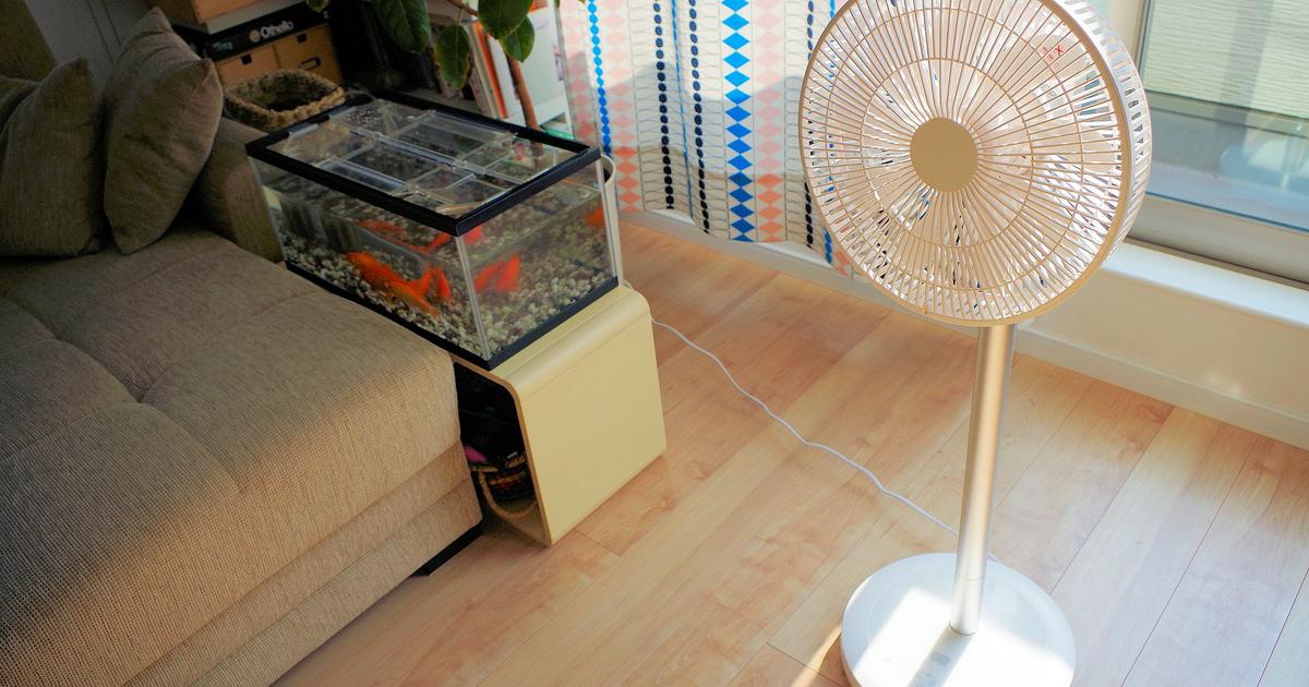 20190621_yamazenfan_sunnyportr 