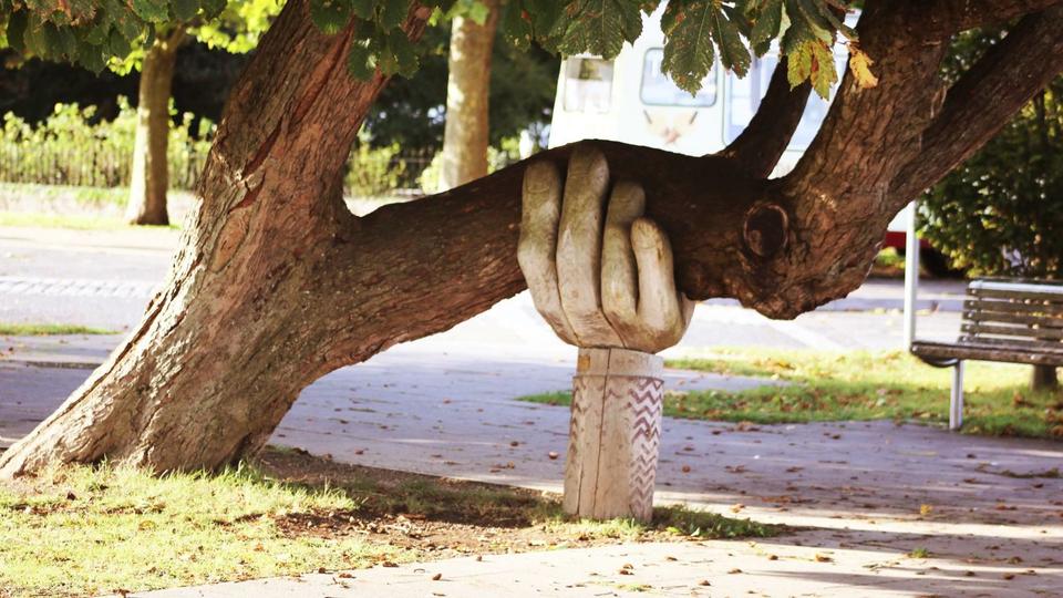 太い木の幹を下から支える手
