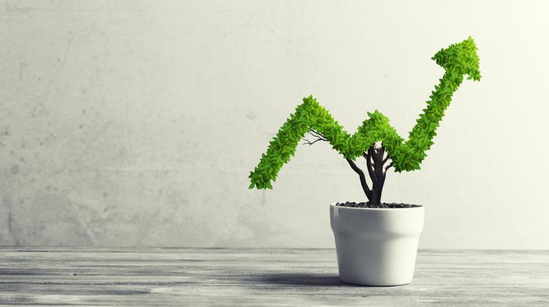 植物が伸びるイメージ